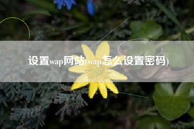 设置wap网站(wap怎么设置密码)