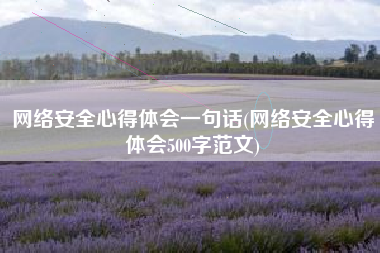 网络安全心得体会一句话(网络安全心得体会500字范文)