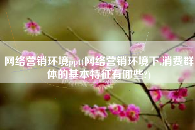 网络营销环境ppt(网络营销环境下,消费群体的基本特征有哪些?)