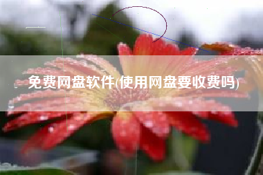 免费网盘软件(使用网盘要收费吗)