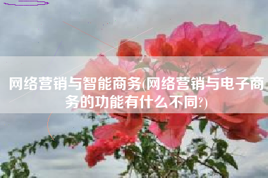 网络营销与智能商务(网络营销与电子商务的功能有什么不同?)