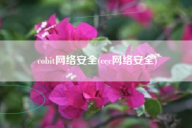 cobit网络安全(cec网络安全)
