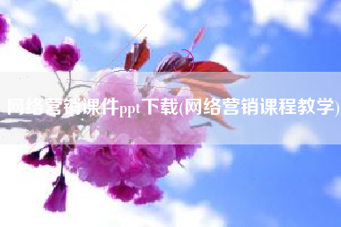 网络营销课件ppt下载(网络营销课程教学)