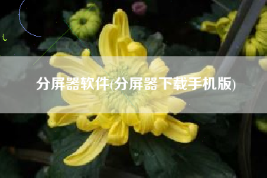 分屏器软件(分屏器下载手机版)