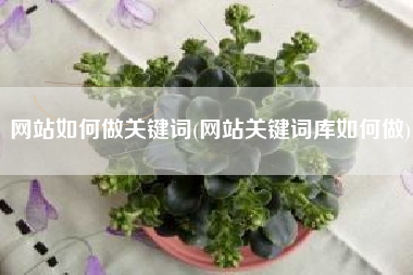 网站如何做关键词(网站关键词库如何做)