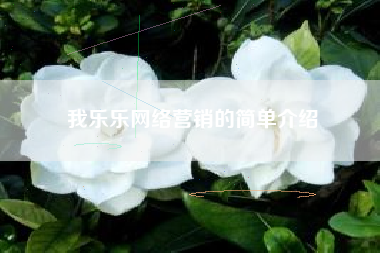 我乐乐网络营销的简单介绍