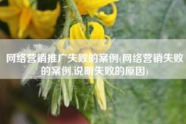 网络营销推广失败的案例(网络营销失败的案例,说明失败的原因)
