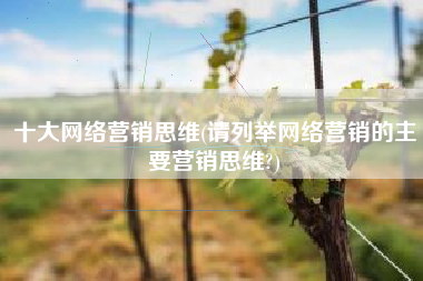 十大网络营销思维(请列举网络营销的主要营销思维?)