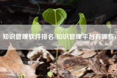 知识管理软件排名(知识管理平台有哪些)