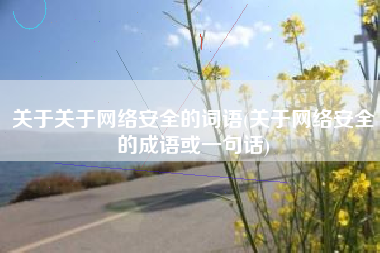 关于关于网络安全的词语(关于网络安全的成语或一句话)