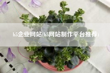 h5企业网站(h5网站制作平台推荐)