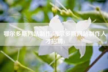 鄂尔多斯网站制作(鄂尔多斯网站制作人才招聘)