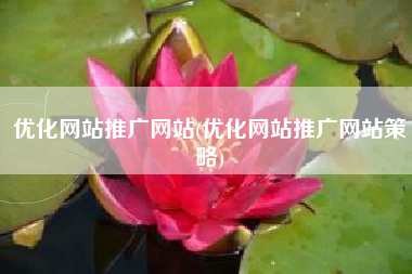 优化网站推广网站(优化网站推广网站策略)