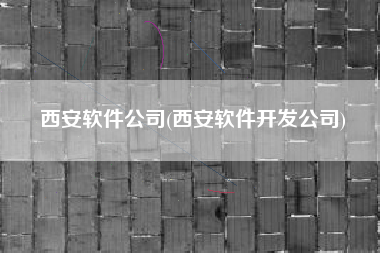 西安软件公司(西安软件开发公司)