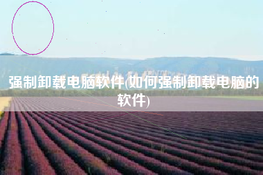 强制卸载电脑软件(如何强制卸载电脑的软件)