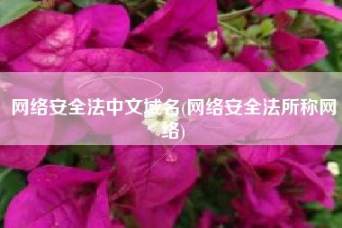 网络安全法中文域名(网络安全法所称网络)