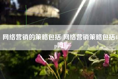 网络营销的策略包括(网络营销策略包括4p吗)