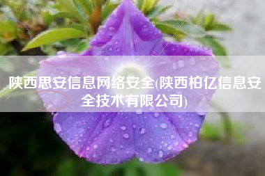陕西思安信息网络安全(陕西柏亿信息安全技术有限公司)