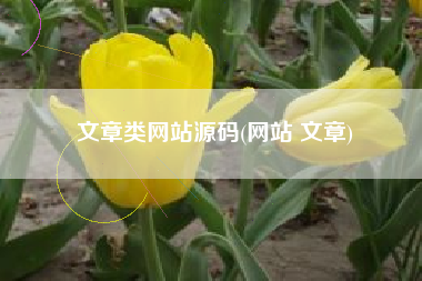 文章类网站源码(网站 文章)