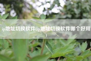 ip地址切换软件(ip地址切换软件哪个好用)