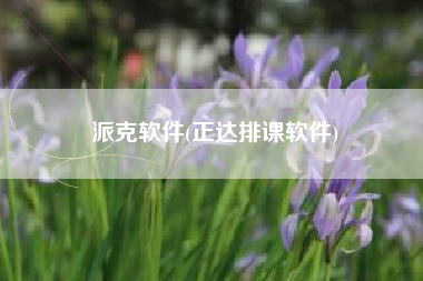 派克软件(正达排课软件)