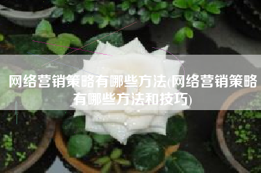 网络营销策略有哪些方法(网络营销策略有哪些方法和技巧)