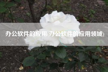 办公软件的应用(办公软件的应用领域)