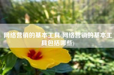网络营销的基本工具(网络营销的基本工具包括哪些)
