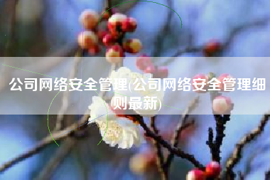 公司网络安全管理(公司网络安全管理细则最新)