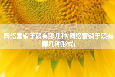网络营销手段有哪几种(网络营销手段有哪几种形式)