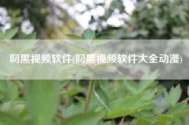 叼黑视频软件(叼黑视频软件大全动漫)