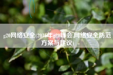 g20网络安全(2016年g20峰会,网络安全防范方案与建议)
