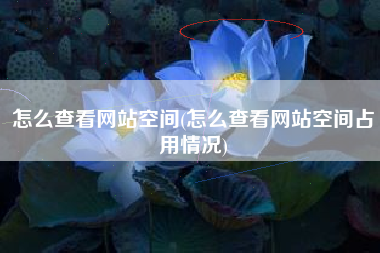 怎么查看网站空间(怎么查看网站空间占用情况)