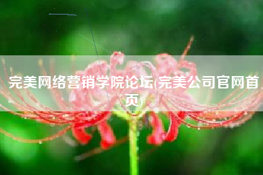 完美网络营销学院论坛(完美公司官网首页)