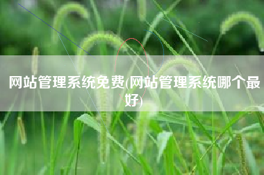 网站管理系统免费(网站管理系统哪个最好)