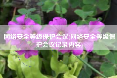 网络安全等级保护会议(网络安全等级保护会议记录内容)