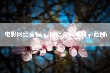 电影网络营销ppt(网络营销策划ppt范例)