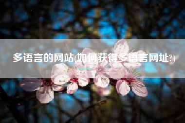 多语言的网站(如何获得多语言网址?)