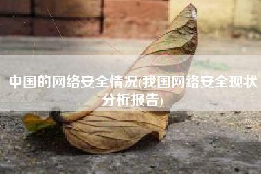 中国的网络安全情况(我国网络安全现状分析报告)