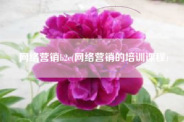 网络营销b2c(网络营销的培训课程)
