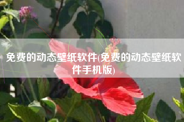免费的动态壁纸软件(免费的动态壁纸软件手机版)