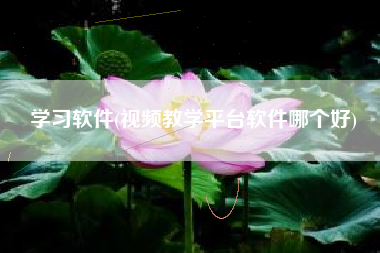 学习软件(视频教学平台软件哪个好)