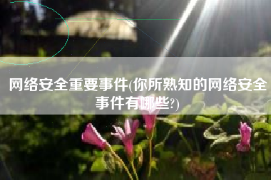 网络安全重要事件(你所熟知的网络安全事件有哪些?)