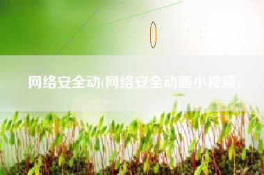 网络安全动(网络安全动画小视频)