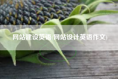 网站建设英语(网站设计英语作文)