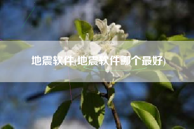 地震软件(地震软件哪个最好)