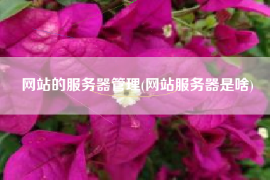 网站的服务器管理(网站服务器是啥)