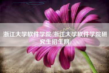 浙江大学软件学院(浙江大学软件学院研究生招生网)