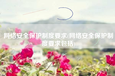 网络安全保护制度要求(网络安全保护制度要求包括)