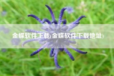 金蝶软件下载(金蝶软件下载地址)